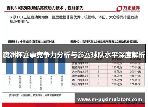澳洲杯赛事竞争力分析与参赛球队水平深度解析