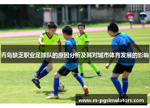 青岛缺乏职业足球队的原因分析及其对城市体育发展的影响