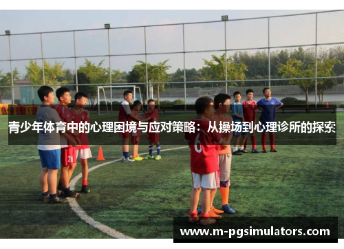 青少年体育中的心理困境与应对策略：从操场到心理诊所的探索