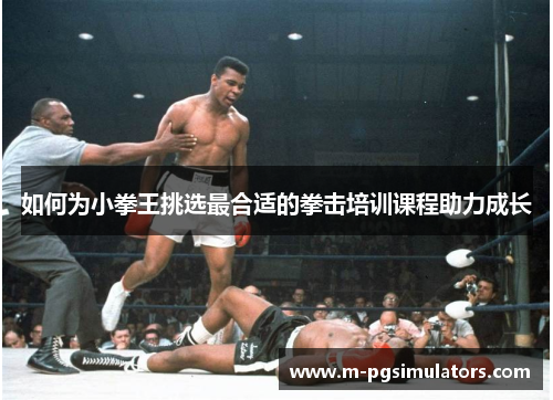 如何为小拳王挑选最合适的拳击培训课程助力成长