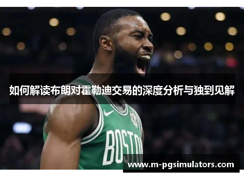 如何解读布朗对霍勒迪交易的深度分析与独到见解